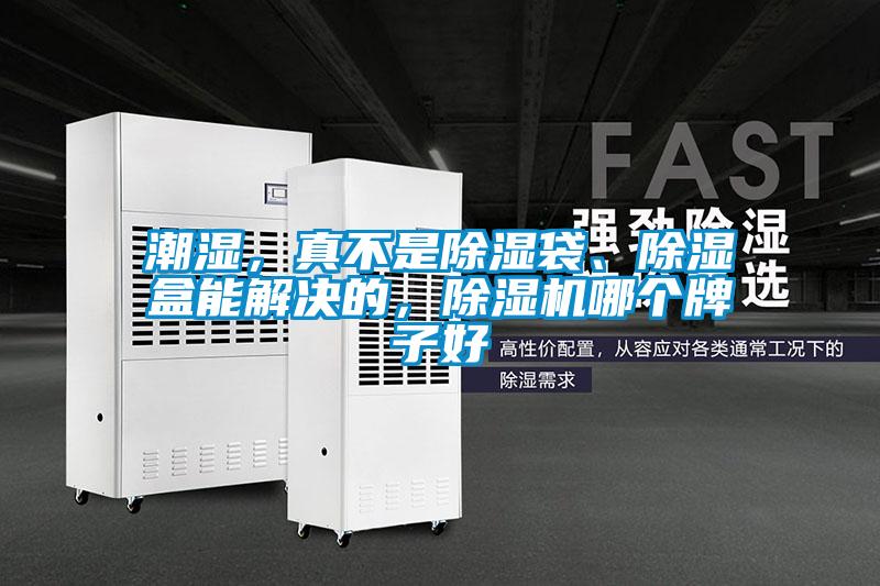 潮濕，真不是除濕袋、除濕盒能解決的，除濕機哪個牌子好