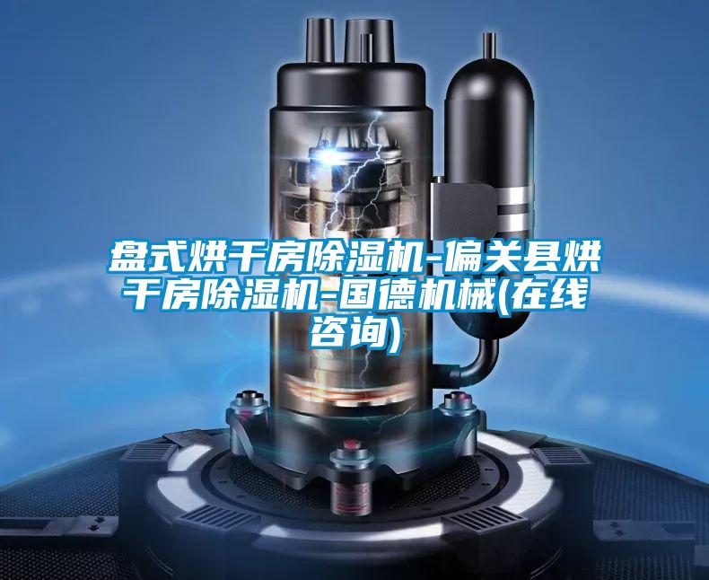 盤式烘干房除濕機-偏關縣烘干房除濕機-國德機械(在線咨詢)
