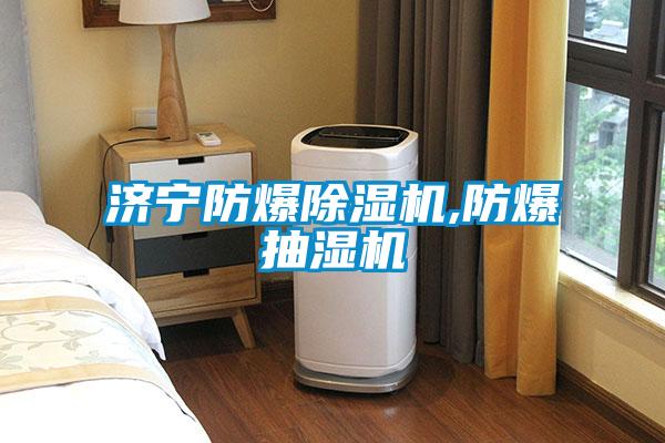 濟寧防爆除濕機,防爆抽濕機