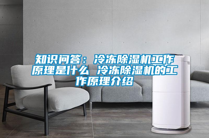 知識問答：冷凍除濕機工作原理是什么 冷凍除濕機的工作原理介紹