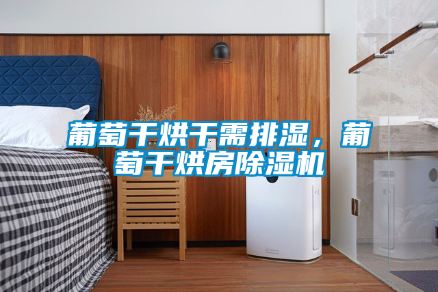 葡萄干烘干需排濕，葡萄干烘房除濕機