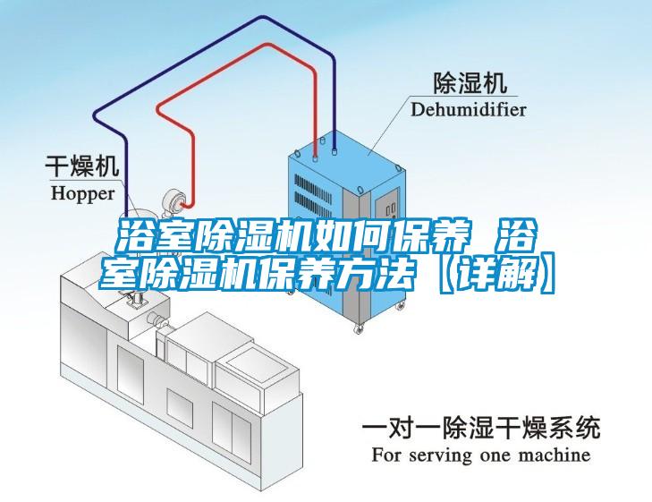 浴室除濕機如何保養 浴室除濕機保養方法【詳解】