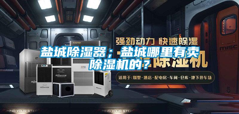 鹽城除濕器；鹽城哪里有賣除濕機的？