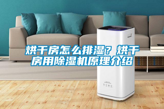 烘干房怎么排濕？烘干房用除濕機原理介紹