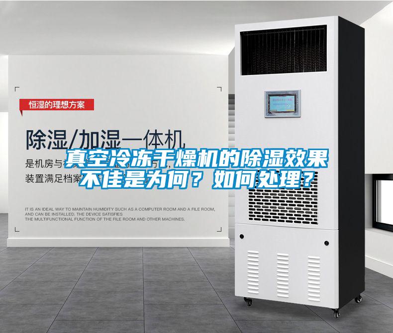 真空冷凍干燥機的除濕效果不佳是為何？如何處理？