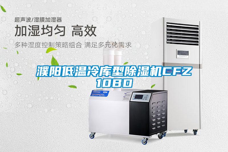 濮陽(yáng)低溫冷庫(kù)型除濕機(jī)CFZ10BD