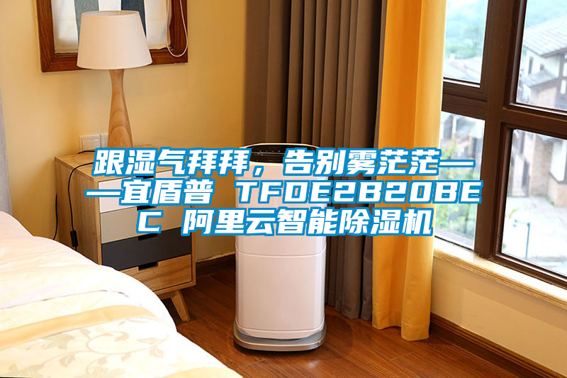 跟濕氣拜拜，告別霧茫茫——宜盾普 TFDE2B20BEC 阿里云智能除濕機