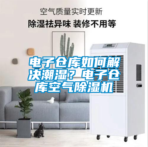 電子倉(cāng)庫(kù)如何解決潮濕？電子倉(cāng)庫(kù)空氣除濕機(jī)