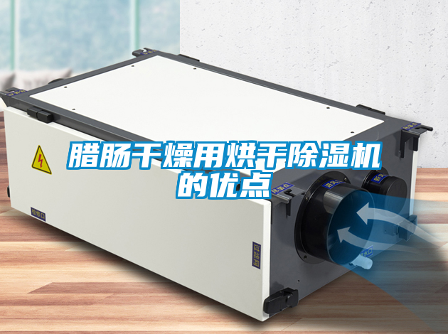 臘腸干燥用烘干除濕機的優點