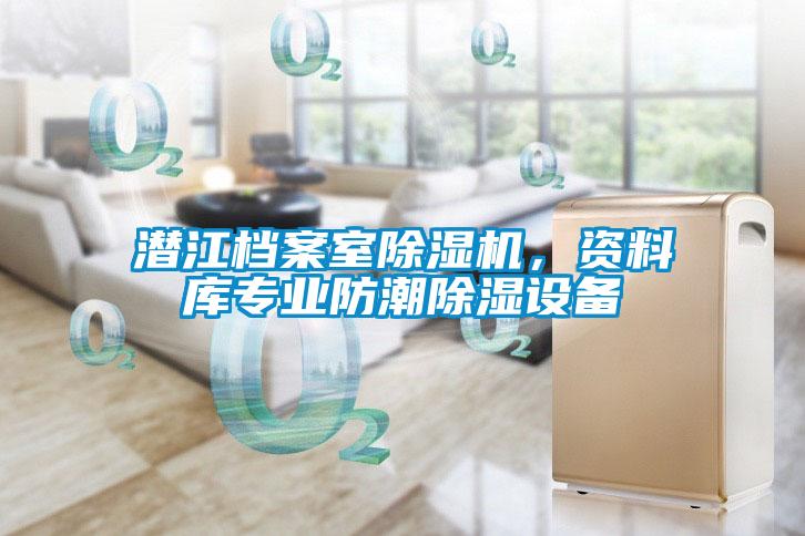 潛江檔案室除濕機(jī)，資料庫(kù)專業(yè)防潮除濕設(shè)備