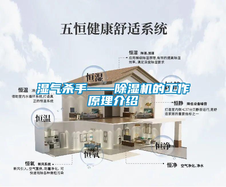 濕氣殺手——除濕機的工作原理介紹