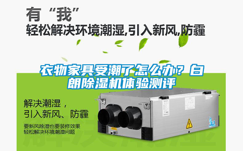 衣物家具受潮了怎么辦？白朗除濕機體驗測評