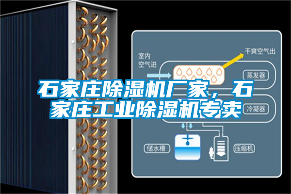 石家莊除濕機廠家，石家莊工業除濕機專賣