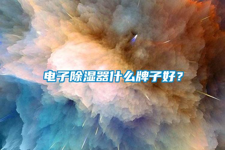 電子除濕器什么牌子好？