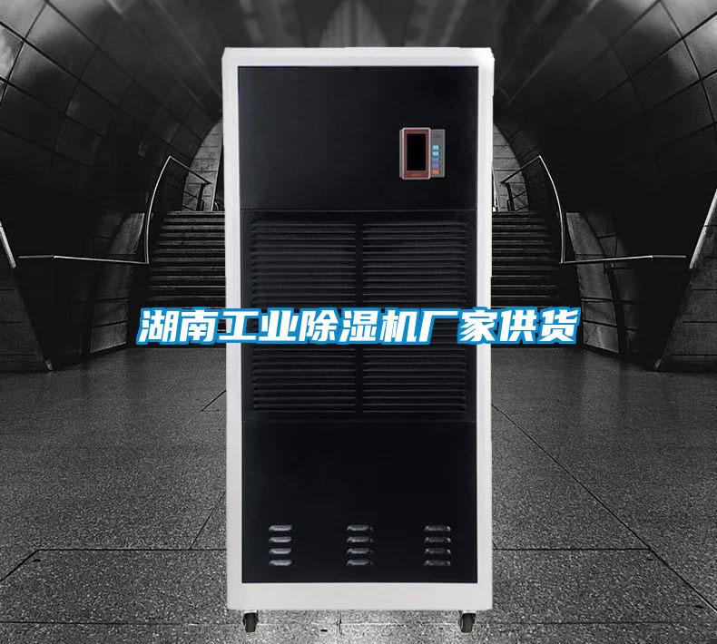 湖南工業除濕機廠家供貨