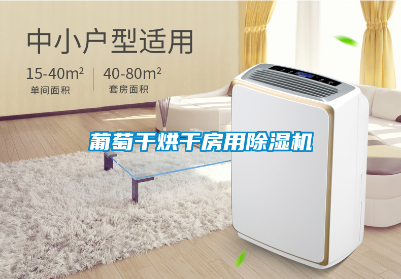 葡萄干烘干房用除濕機