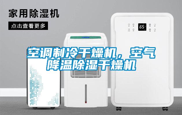 空調制冷干燥機，空氣降溫除濕干燥機