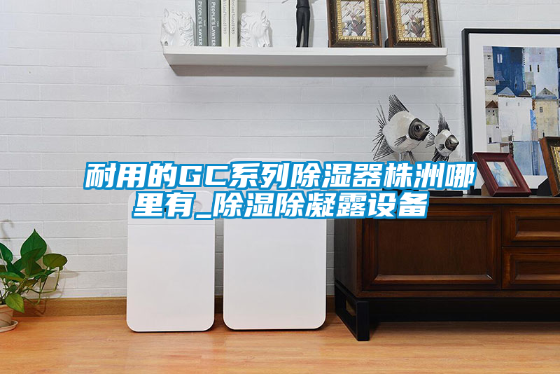 耐用的GC系列除濕器株洲哪里有_除濕除凝露設備