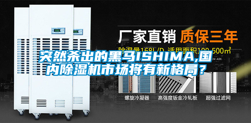 突然殺出的黑馬ISHIMA,國內除濕機市場將有新格局？