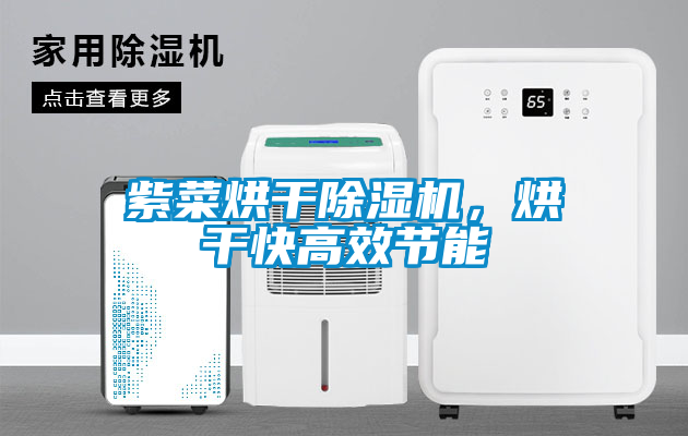 紫菜烘干除濕機，烘干快高效節能