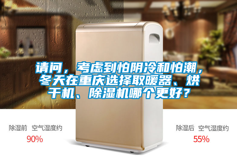 請問，考慮到怕陰冷和怕潮，冬天在重慶選擇取暖器、烘干機、除濕機哪個更好？