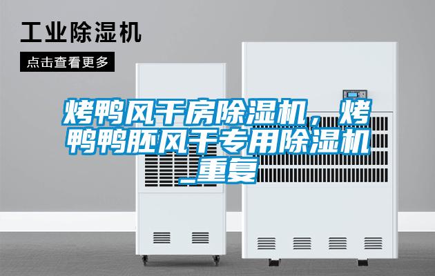 烤鴨風干房除濕機，烤鴨鴨胚風干專用除濕機_重復