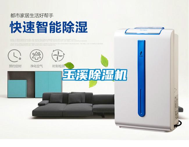 玉溪除濕機