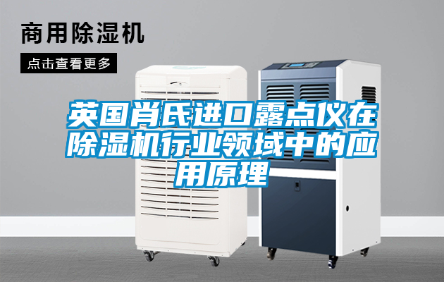 英國(guó)肖氏進(jìn)口露點(diǎn)儀在除濕機(jī)行業(yè)領(lǐng)域中的應(yīng)用原理