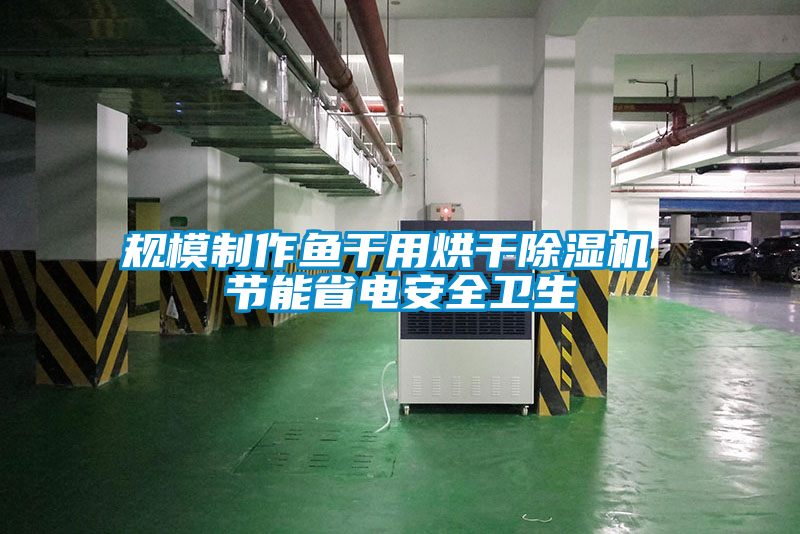規模制作魚干用烘干除濕機 節能省電安全衛生