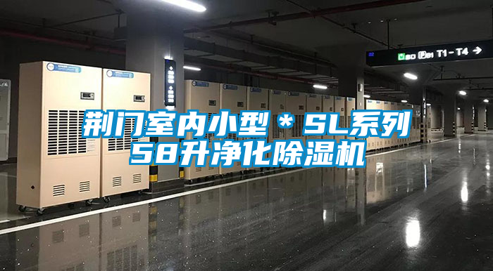 荊門室內(nèi)小型＊SL系列58升凈化除濕機(jī)
