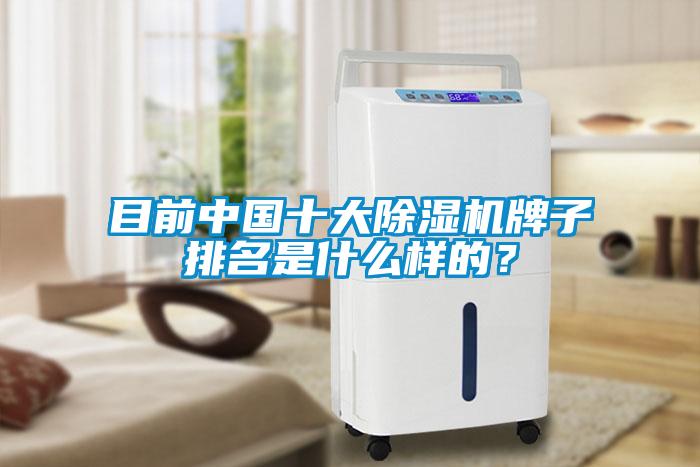 目前中國十大除濕機牌子排名是什么樣的？