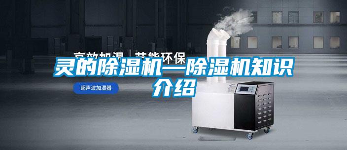 靈的除濕機(jī)—除濕機(jī)知識(shí)介紹