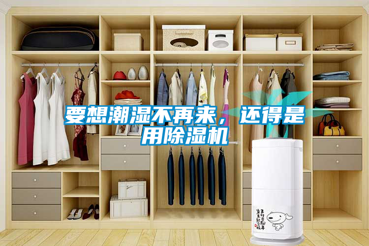 要想潮濕不再來，還得是用除濕機
