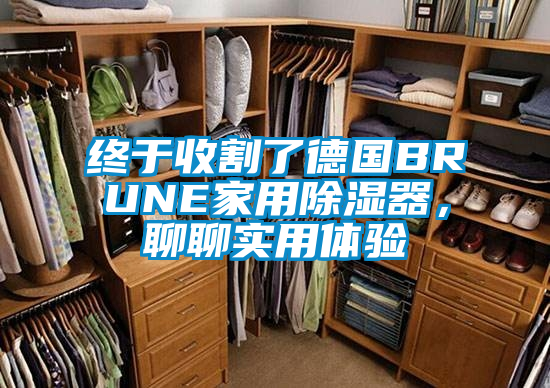 終于收割了德國BRUNE家用除濕器，聊聊實用體驗