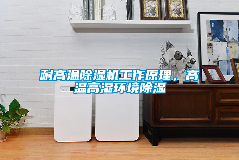 耐高溫除濕機工作原理，高溫高濕環境除濕