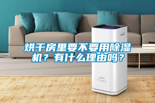 烘干房里要不要用除濕機？有什么理由嗎？