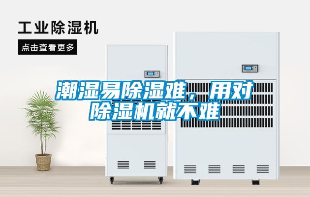 潮濕易除濕難，用對除濕機就不難