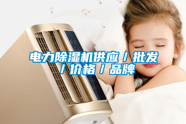 電力除濕機(jī)供應(yīng)／批發(fā)／價(jià)格／品牌