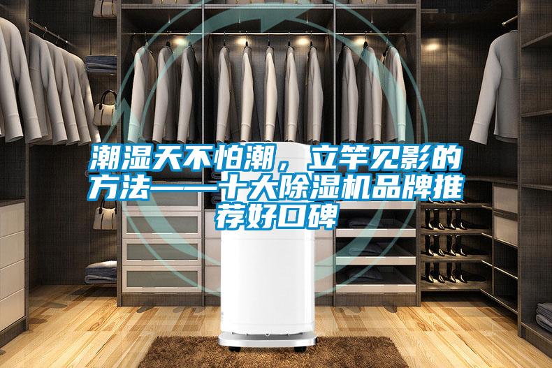 潮濕天不怕潮，立竿見影的方法——十大除濕機品牌推薦好口碑