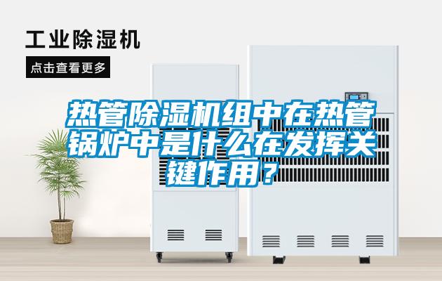 熱管除濕機(jī)組中在熱管鍋爐中是什么在發(fā)揮關(guān)鍵作用？