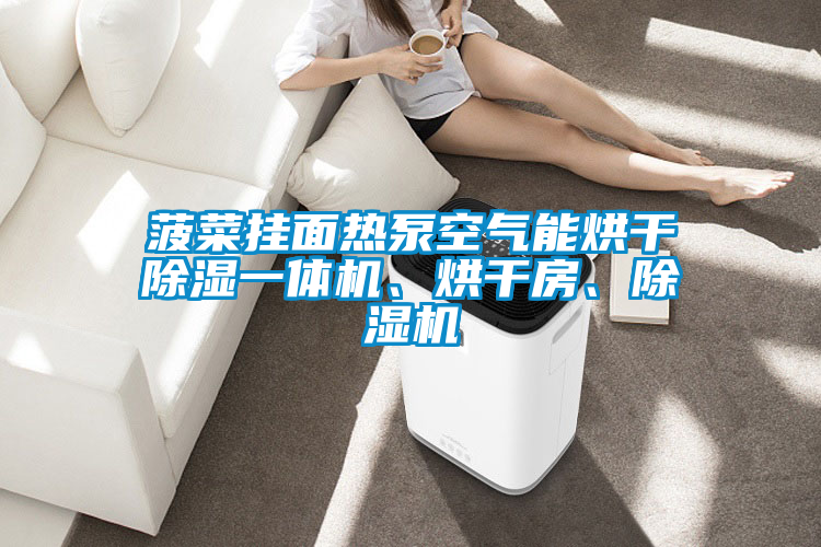 菠菜掛面熱泵空氣能烘干除濕一體機、烘干房、除濕機