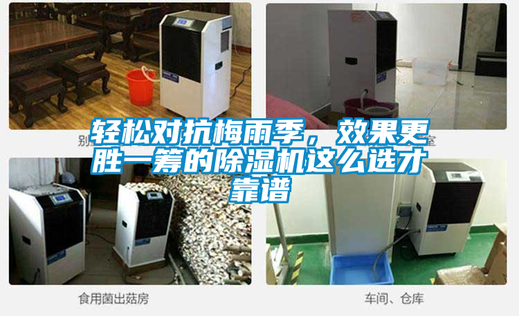 輕松對(duì)抗梅雨季，效果更勝一籌的除濕機(jī)這么選才靠譜