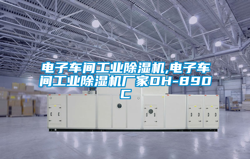 電子車間工業除濕機,電子車間工業除濕機廠家DH-890C