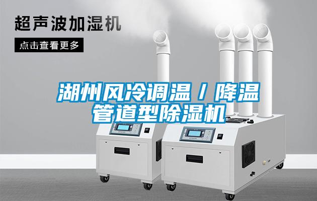 湖州風冷調溫／降溫管道型除濕機