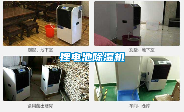 鋰電池除濕機(jī)