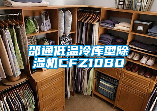 邵通低溫冷庫型除濕機CFZ10BD