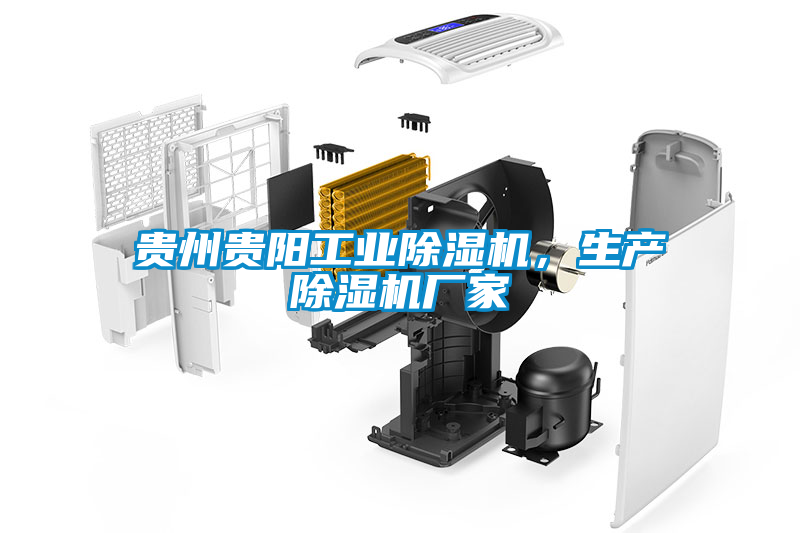 貴州貴陽工業除濕機，生產除濕機廠家