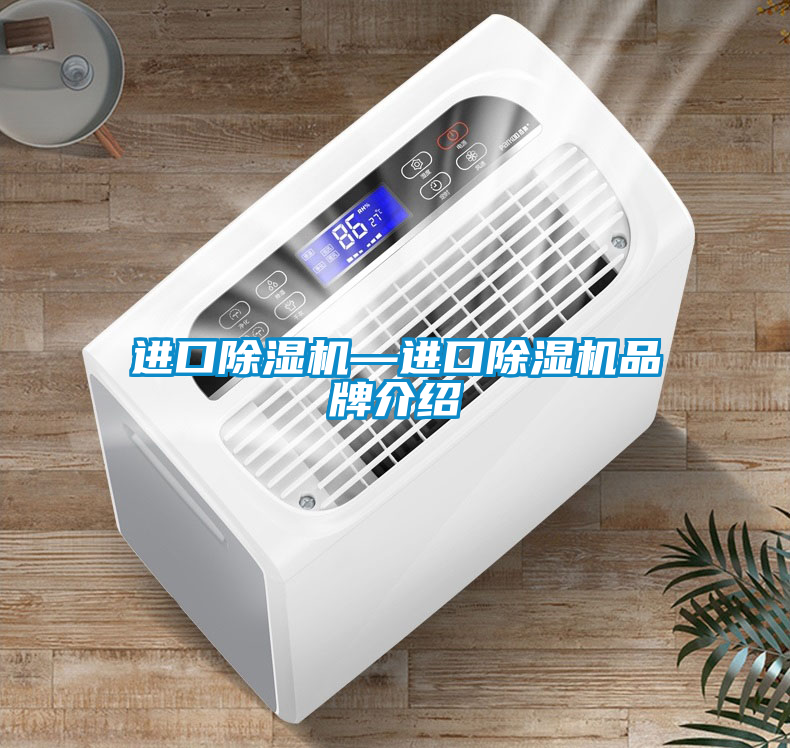 進(jìn)口除濕機(jī)—進(jìn)口除濕機(jī)品牌介紹