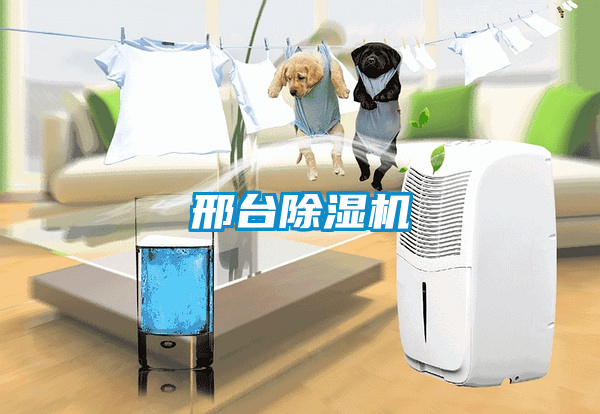 邢臺除濕機