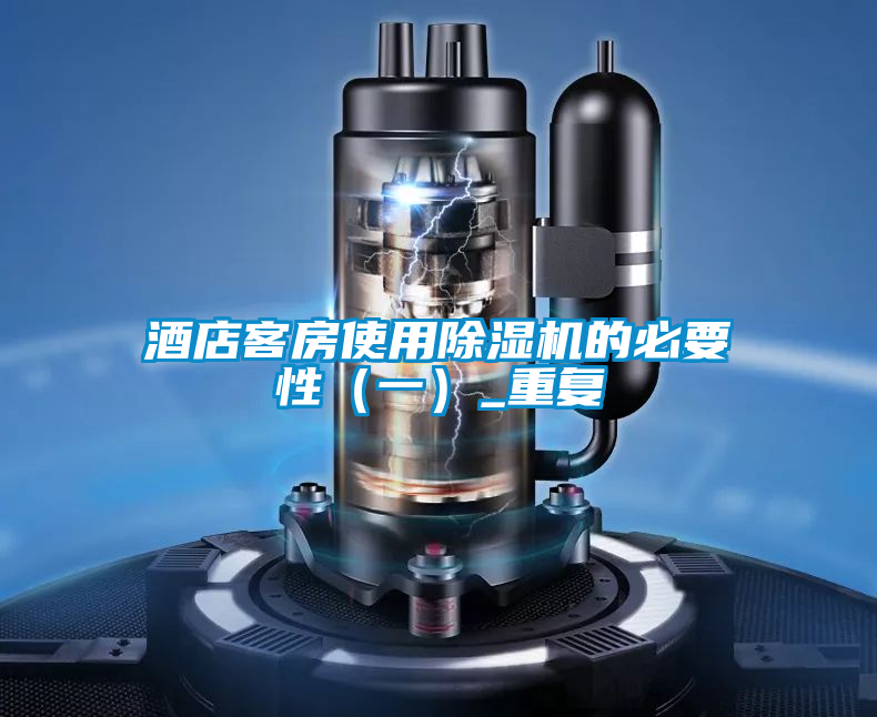 酒店客房使用除濕機的必要性（一）_重復